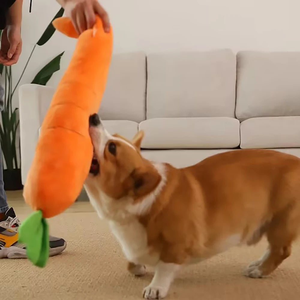 Carrot Squeaky Plush Toy - Interactive Dog Toy