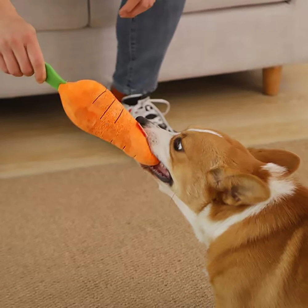 Carrot Squeaky Plush Toy - Interactive Dog Toy