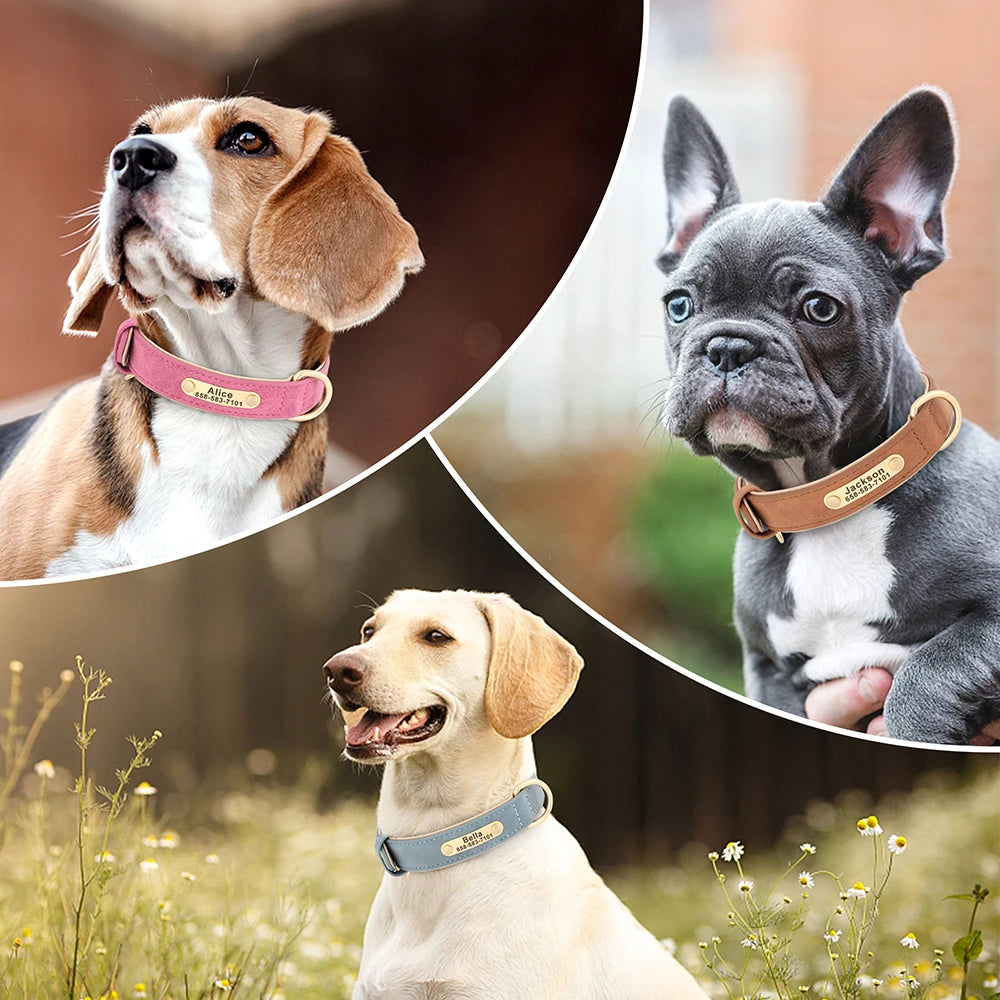 Personalized Leather Pet Collar