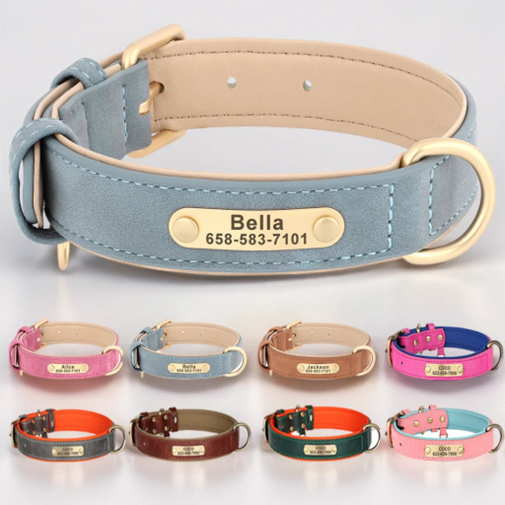 Personalized Leather Pet Collar