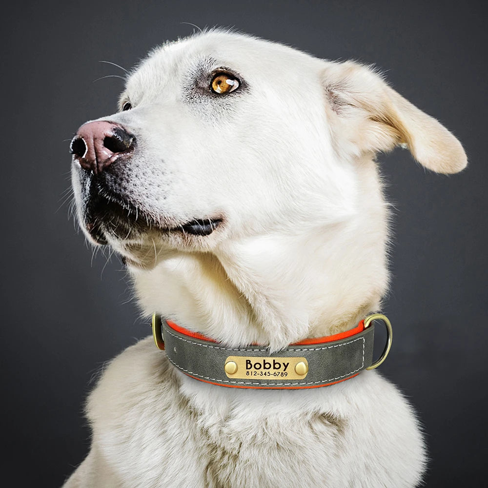 Personalized Leather Pet Collar